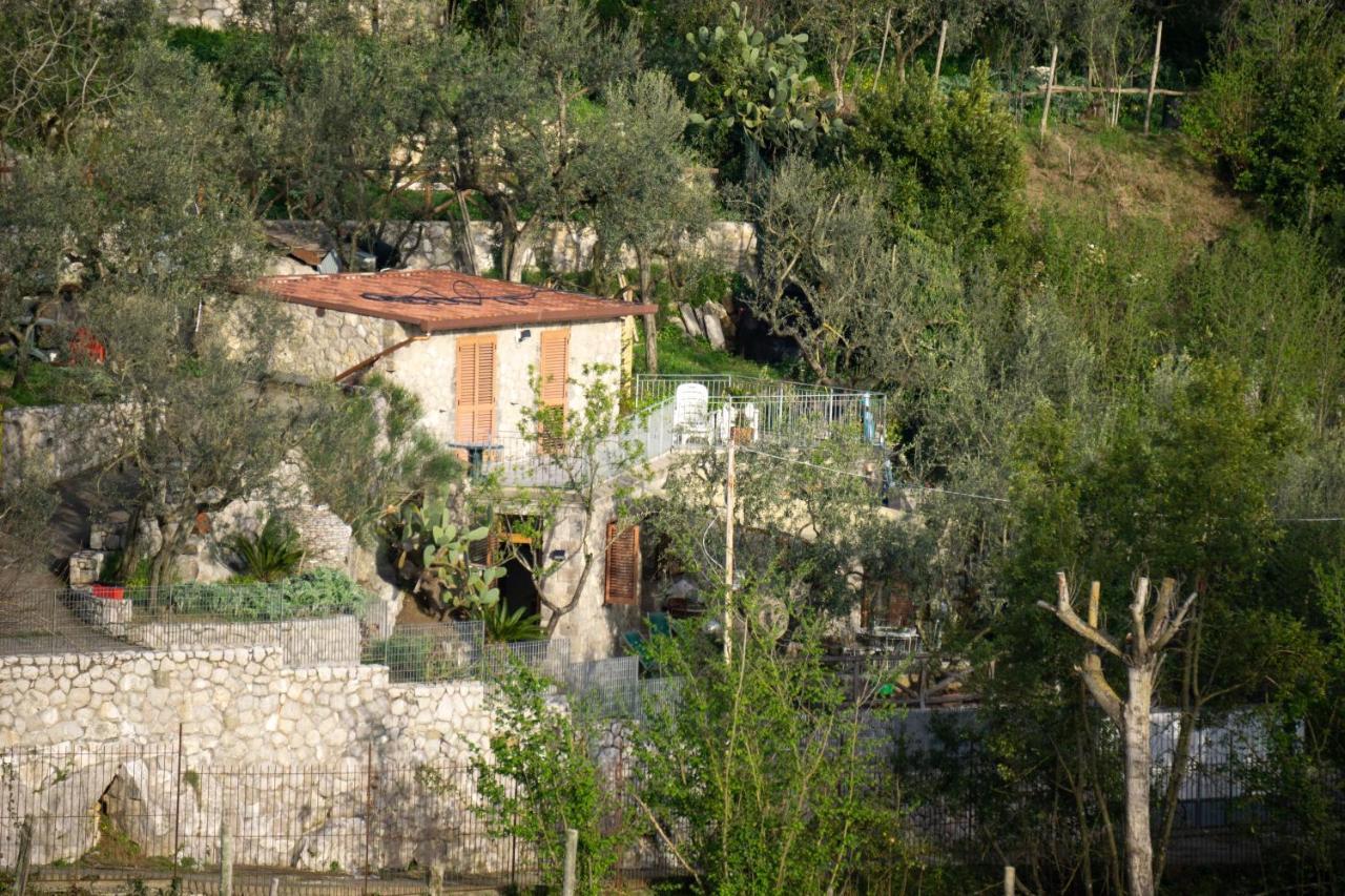 Cynara Holiday House Massa Lubrense Exterior foto