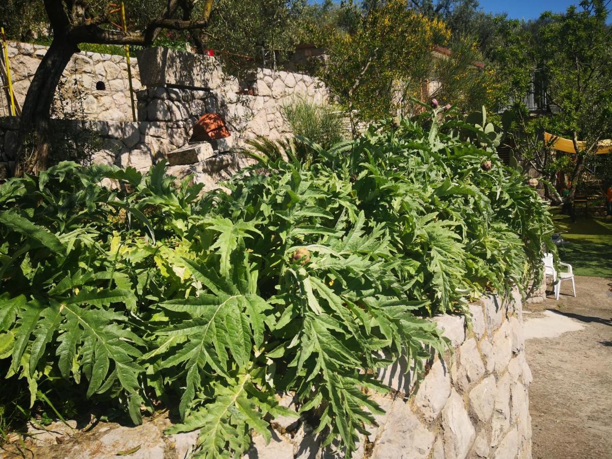 Cynara Holiday House Massa Lubrense Exterior foto